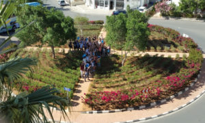 summer courses in limassol - by plato