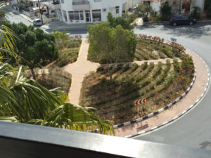 View From Plato